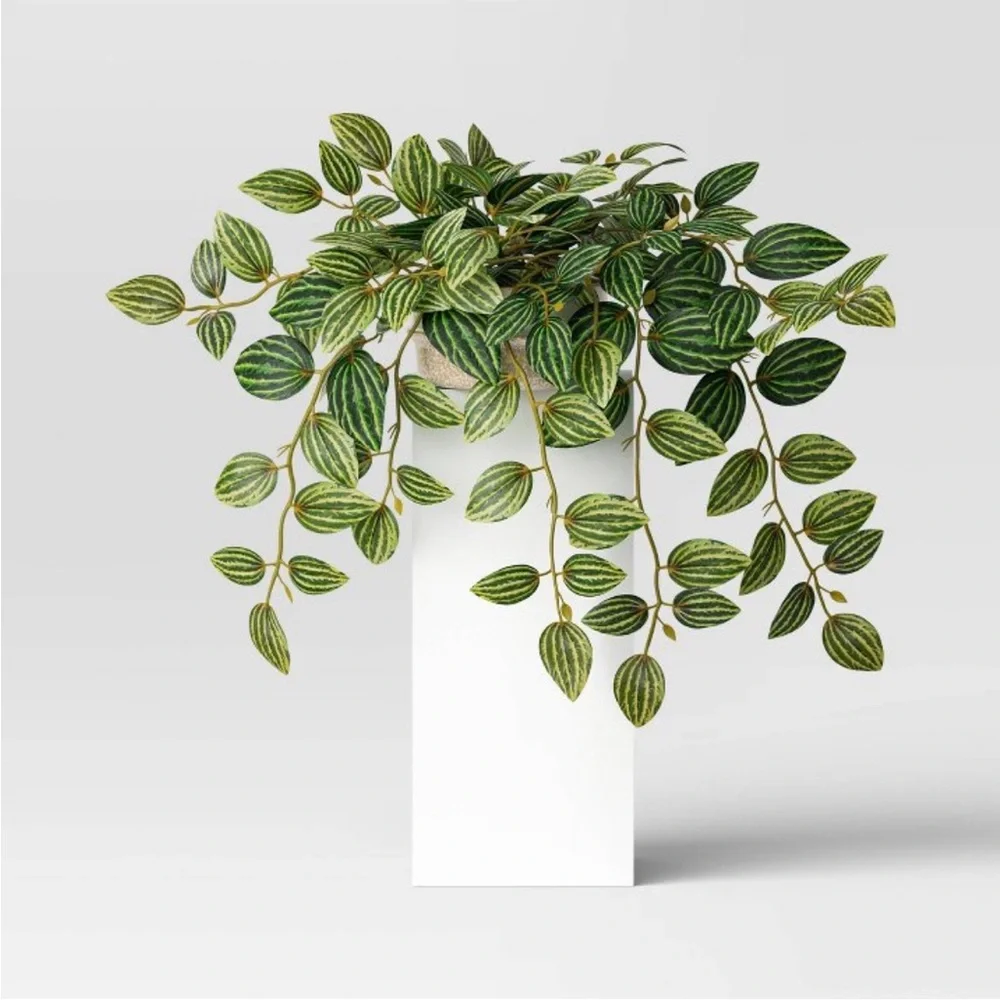 THRESHOLD NWT faux trailing zebra plant -dark